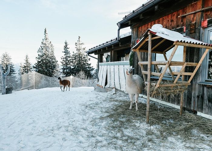 Larici Top Ski Touring Routes in the Brenta Group | Outdooractive photo