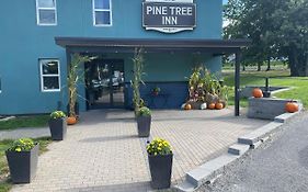 Pine Tree Inn Bangor Exterior photo