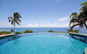 Beachfront Villa - House Of Bamboo, Infinity Pool Savusavu Exterior photo