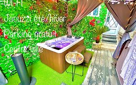 La Lover'S Jungle Apartment Pont-Sur-Yonne Exterior photo