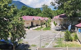 Hamzalli Garden Apartment Gabala Exterior photo