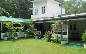 Levi's Tourist – Anuradhapura Hotel Exterior photo