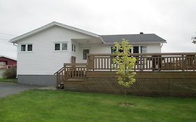 Comerford'S Ocean View Suites Holyrood Exterior photo