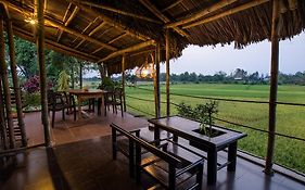 La Terrazza Bed & Breakfast Hoi An Exterior photo