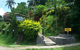 Gecko Lodge Fiji Savusavu Exterior photo