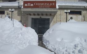 Cedars Palace Hotel Al Arz Exterior photo