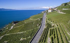 Domaine Du Burignon Hotel Saint-Saphorin Exterior photo