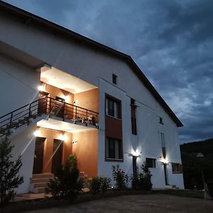 Pensiunea Natalia Hotel Sarata-Monteoru Exterior photo