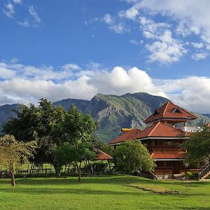 Avadale Masinagudi Hotel Exterior photo