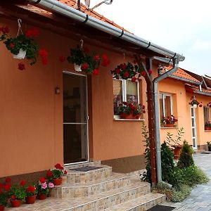 Felszegi Vendeghaz Hotel Corund  Exterior photo