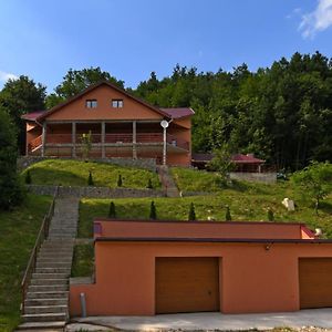Cabana Oana Retezat Villa Riu de Mori Exterior photo