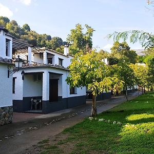 Complejo Rural El Cercado Hotel Berchules Exterior photo