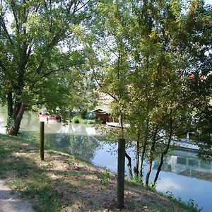 Bed And Room Al Fiume Piovego Padova Exterior photo