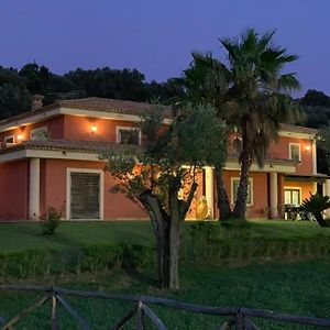 Casale Degli Ulivi Bed & Breakfast Ciro Marina Exterior photo