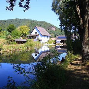 Au Numero 6 Bed & Breakfast Obersteinbach Exterior photo