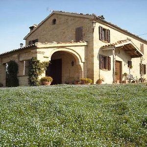 Cascinale La Mimosa Bed & Breakfast Cupramontana Exterior photo