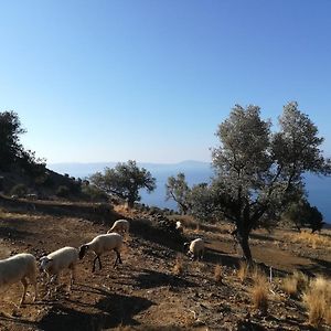 Sea Breeze Ecological Villa Agia Galini  Exterior photo