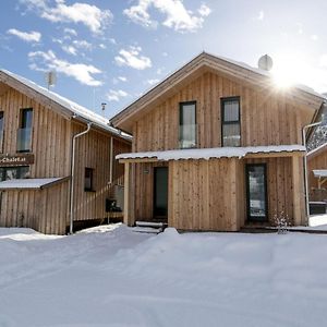 Modern Chalet In Sankt Georgen Ob Murau With Sauna Villa Sankt Lorenzen ob Murau Exterior photo