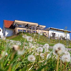 Weingut Perner Bed & Breakfast Ehrenhausen Exterior photo