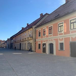 Bella Donna Apartment Maribor Exterior photo