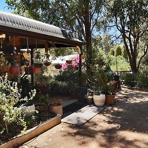 Mundaring Bed&Breakfast Bed & Breakfast Exterior photo