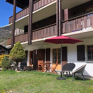 Le Cerf, Magnifique Studio Avec Jardin-Terrasse Et Garage Apartment Evolene Exterior photo