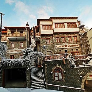 Asteri Metsovou Hotel Exterior photo