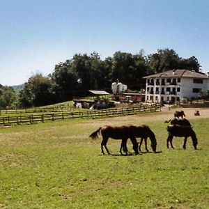 Favetto Family Ranch Bed & Breakfast Rueglio Exterior photo