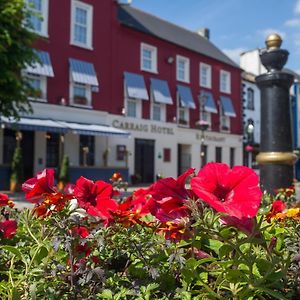 The Carraig Hotel Carrick on Suir Exterior photo