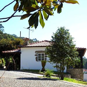 Quinta De S. Vicente 317 Villa Vila Nova de Famalicao Exterior photo