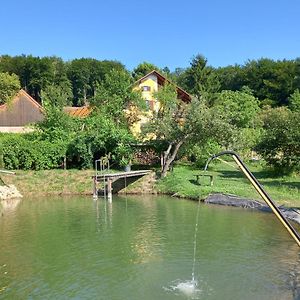 Appartement Weingut Schoberhof Bad Gleichenberg Exterior photo