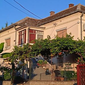 Apartman STOJANOVIĆ Apartment Paracin Exterior photo