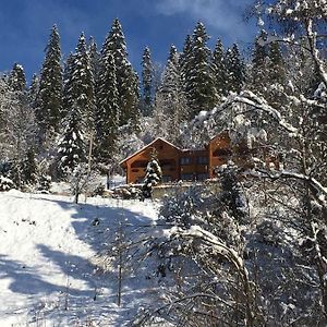 Privatna Sadiba Chalet Hotel Oryavchyk Exterior photo