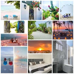 Coral Castle - Goidhoo Maldives Hotel Baa Atoll Exterior photo