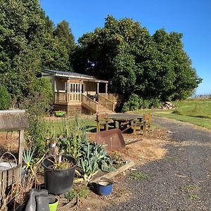 The Treehut Villa Ohauiti Exterior photo