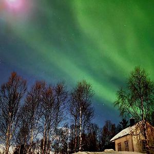 Cabin Magic On Senja, Atmosphere Like A Fairytale Villa Botnhamn Exterior photo