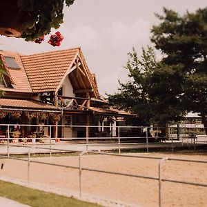 Pension Zwicker Hotel Presov Exterior photo