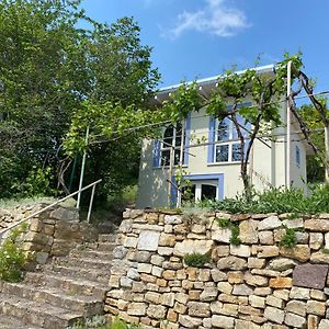 Weinbergshaus Mit Blick Auf'S Wasser Villa Salzatal Exterior photo