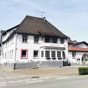 Self Checkin Hotel Heckenrose Lorin Ringsheim Exterior photo