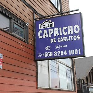 Hostal Capricho De Carlitos Hotel Valdivia Exterior photo