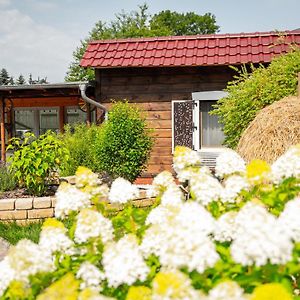 Spreewald Pension Tannenwinkel Hotel Lubbenau Exterior photo