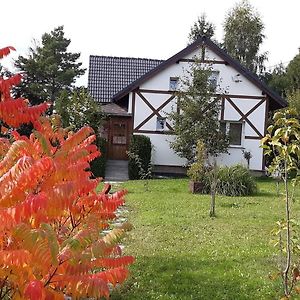 Karkonoski Widok Hotel Dziwiszow Exterior photo