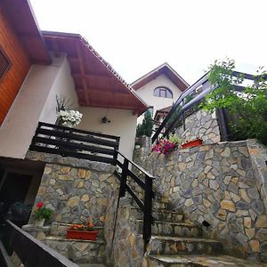 Casa Flandria Hotel Sinaia Exterior photo