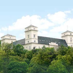 Zamek Racice Hotel Exterior photo