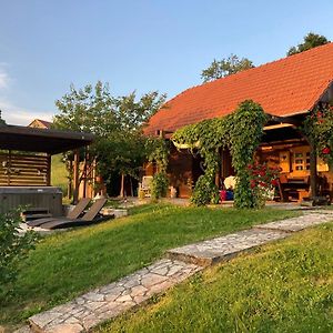 Peacefull Family Cottage Gornji Desinec Exterior photo