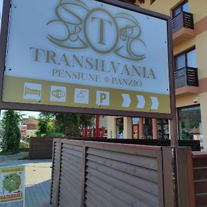 Pensiunea Transilvania Odorheiu Secuiesc Exterior photo