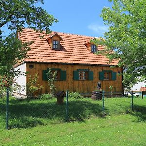 Apartments For Families With Children Perusic Exterior photo