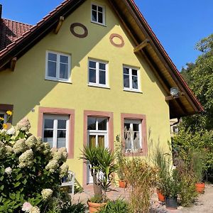 Appartement Auf Dem Gutshof Klingenmunster Exterior photo