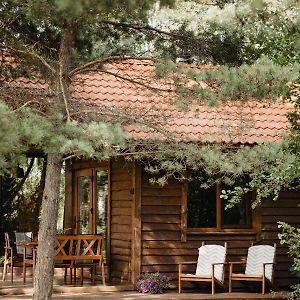 Berzu Namelis - Birch Cabin Villa Kuciunai Exterior photo