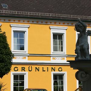 Gasthof Gruenling Hotel Wallsee Exterior photo